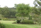 New Gisborneresidential-landscaping-40.jpg; ?>